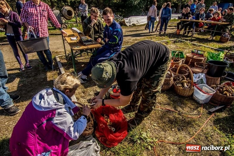 Zdjęcie w galerii na portalu naszraciborz.pl: Poznaliśmy najlepszych grzybiarzy Ziemi Raciborskiej wiadomości z regionu