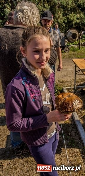 Zdjęcie w galerii na portalu naszraciborz.pl: Poznaliśmy najlepszych grzybiarzy Ziemi Raciborskiej wiadomości z regionu