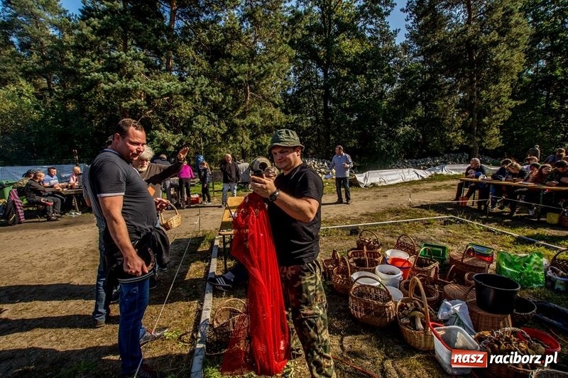 Zdjęcie w galerii na portalu naszraciborz.pl: Poznaliśmy najlepszych grzybiarzy Ziemi Raciborskiej wiadomości z regionu