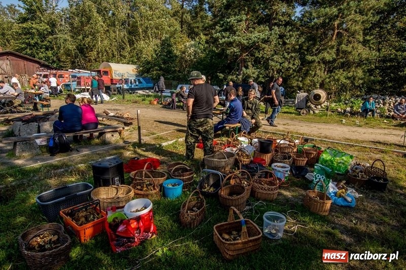 Zdjęcie w galerii na portalu naszraciborz.pl: Poznaliśmy najlepszych grzybiarzy Ziemi Raciborskiej wiadomości z regionu
