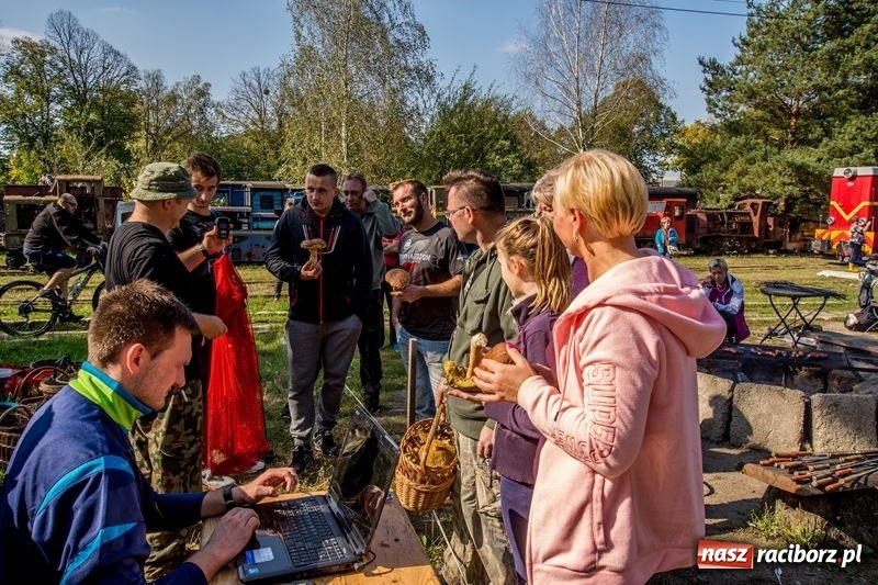 Zdjęcie w galerii na portalu naszraciborz.pl: Poznaliśmy najlepszych grzybiarzy Ziemi Raciborskiej wiadomości z regionu
