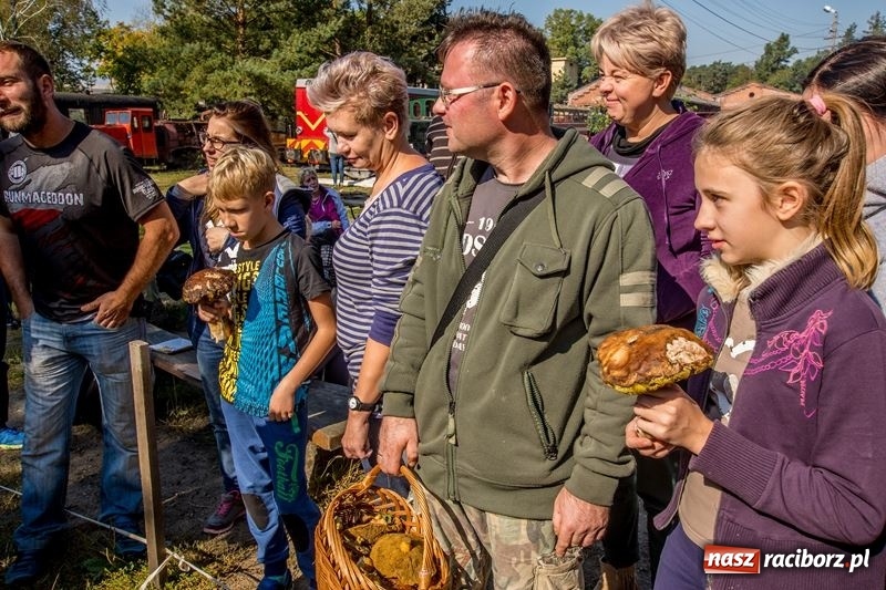 Zdjęcie w galerii na portalu naszraciborz.pl: Poznaliśmy najlepszych grzybiarzy Ziemi Raciborskiej wiadomości z regionu