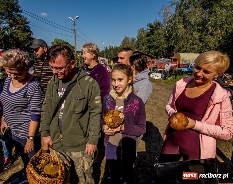 Zdjęcie w galerii na portalu naszraciborz.pl: Poznaliśmy najlepszych grzybiarzy Ziemi Raciborskiej wiadomości z regionu