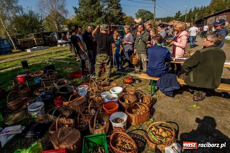 Zdjęcie w galerii na portalu naszraciborz.pl: Poznaliśmy najlepszych grzybiarzy Ziemi Raciborskiej wiadomości z regionu