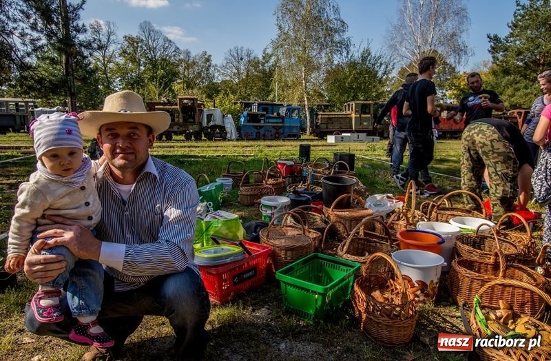 Zdjęcie w galerii na portalu naszraciborz.pl: Poznaliśmy najlepszych grzybiarzy Ziemi Raciborskiej wiadomości z regionu