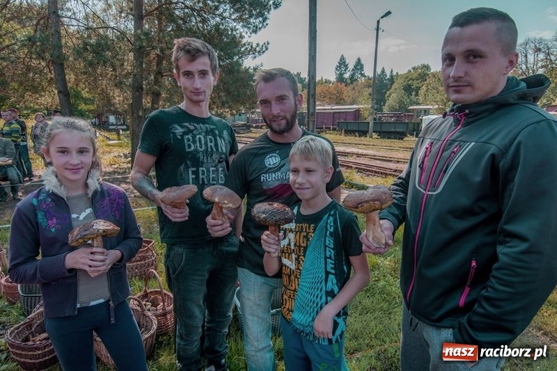 Zdjęcie w galerii na portalu naszraciborz.pl: Poznaliśmy najlepszych grzybiarzy Ziemi Raciborskiej wiadomości z regionu