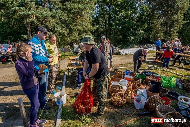 Zdjęcie w galerii na portalu naszraciborz.pl: Poznaliśmy najlepszych grzybiarzy Ziemi Raciborskiej wiadomości z regionu