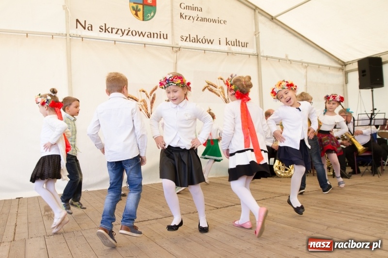 Zdjęcie w galerii na portalu naszraciborz.pl: Bieńkowicki Oktoberfest - FOTOREPORTAŻ  wiadomości z regionu