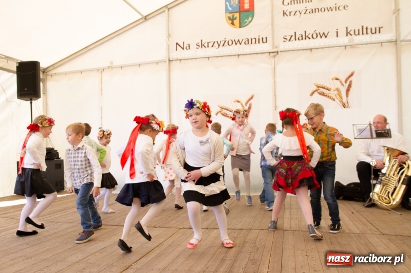 Zdjęcie w galerii na portalu naszraciborz.pl: Bieńkowicki Oktoberfest - FOTOREPORTAŻ  wiadomości z regionu