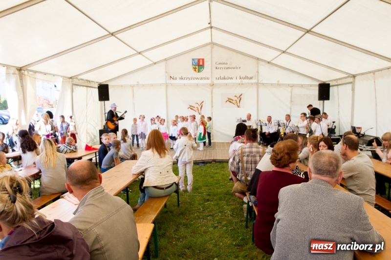 Zdjęcie w galerii na portalu naszraciborz.pl: Bieńkowicki Oktoberfest - FOTOREPORTAŻ  wiadomości z regionu