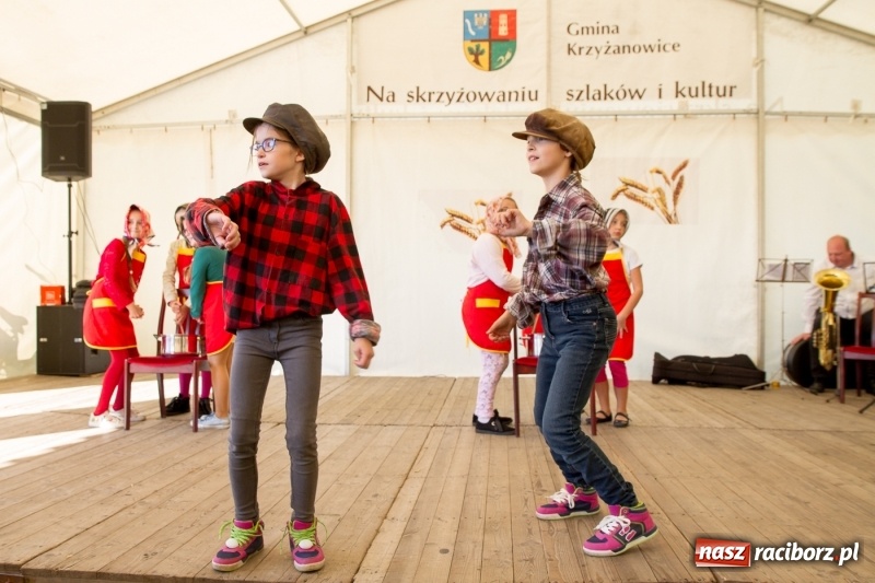 Zdjęcie w galerii na portalu naszraciborz.pl: Bieńkowicki Oktoberfest - FOTOREPORTAŻ  wiadomości z regionu