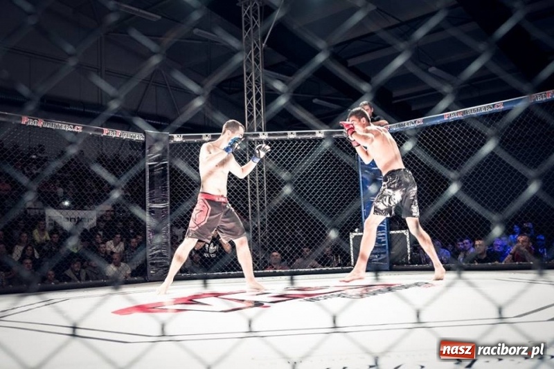 Zdjęcie w galerii na portalu naszraciborz.pl: Raciborzanie wygrali swoje walki na gali MMA w Bohuminie FOTO i WIDEO wiadomości z regionu