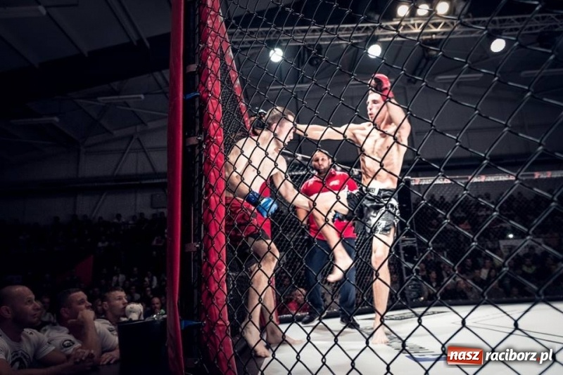 Zdjęcie w galerii na portalu naszraciborz.pl: Raciborzanie wygrali swoje walki na gali MMA w Bohuminie FOTO i WIDEO wiadomości z regionu