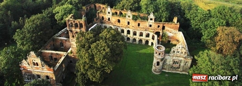 Zdjęcie w galerii na portalu naszraciborz.pl: Wkrótce ruszy częściowa odbudowa zamku w Tworkowie  wiadomości z regionu