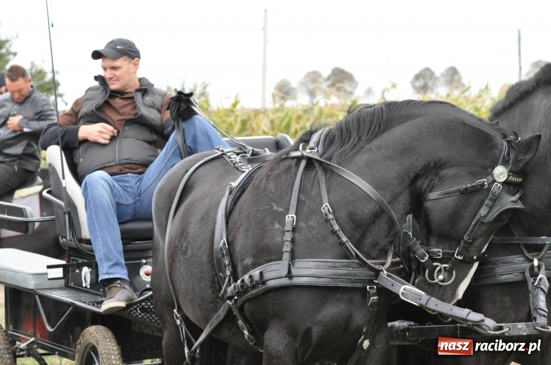 Zdjęcie w galerii na portalu naszraciborz.pl: Na Hubertusie w Żerdzinach FOTO i WIDEO wiadomości z regionu
