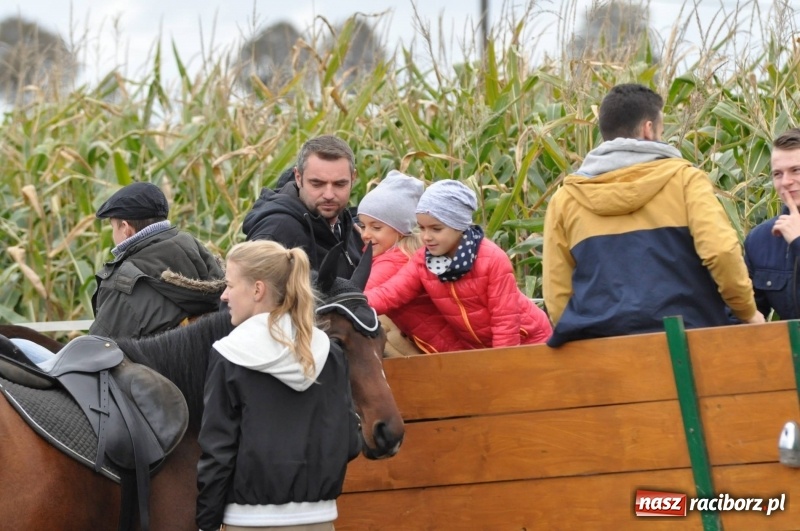 Zdjęcie w galerii na portalu naszraciborz.pl: Na Hubertusie w Żerdzinach FOTO i WIDEO wiadomości z regionu