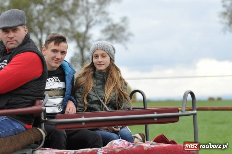 Zdjęcie w galerii na portalu naszraciborz.pl: Na Hubertusie w Żerdzinach FOTO i WIDEO wiadomości z regionu