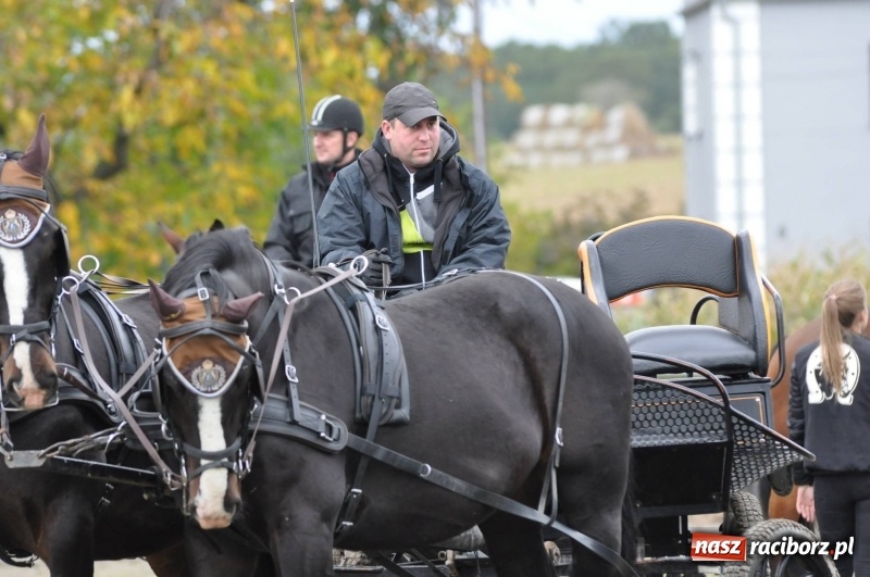 Zdjęcie w galerii na portalu naszraciborz.pl: Na Hubertusie w Żerdzinach FOTO i WIDEO wiadomości z regionu