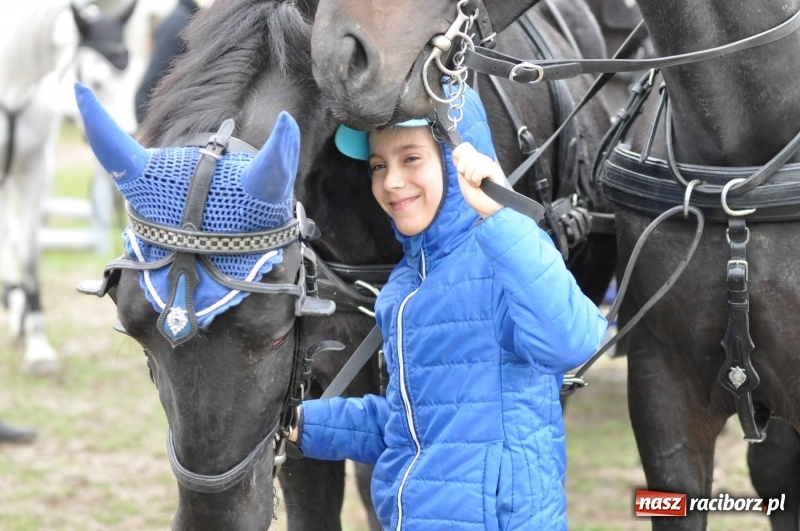 Zdjęcie w galerii na portalu naszraciborz.pl: Na Hubertusie w Żerdzinach FOTO i WIDEO wiadomości z regionu