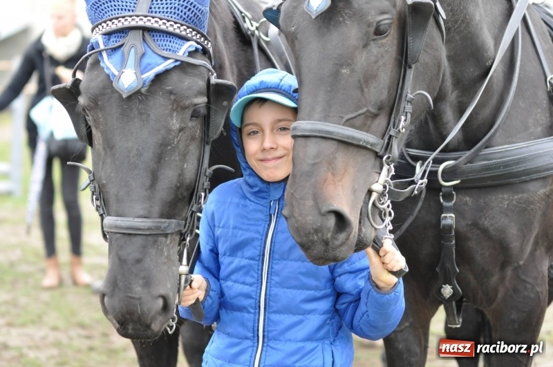 Zdjęcie w galerii na portalu naszraciborz.pl: Na Hubertusie w Żerdzinach FOTO i WIDEO wiadomości z regionu