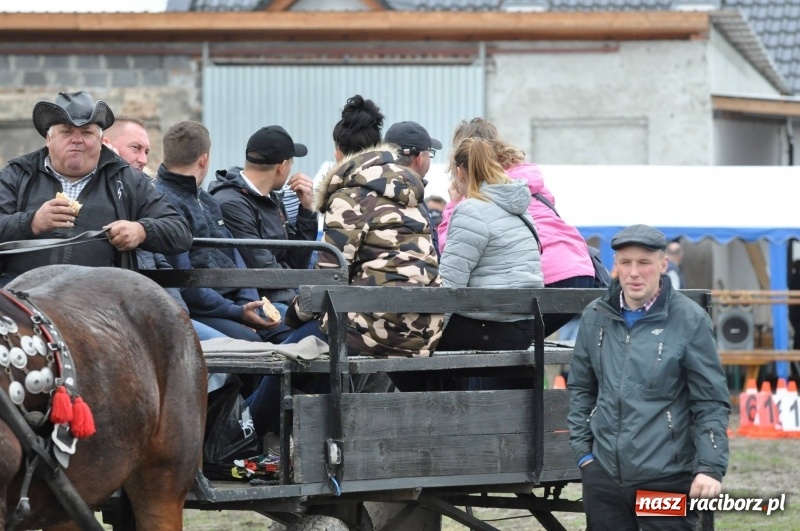Zdjęcie w galerii na portalu naszraciborz.pl: Na Hubertusie w Żerdzinach FOTO i WIDEO wiadomości z regionu