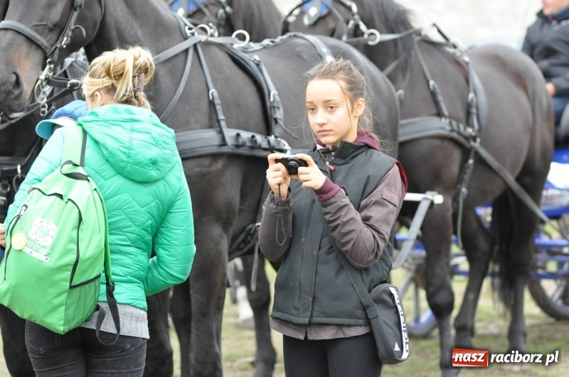 Zdjęcie w galerii na portalu naszraciborz.pl: Na Hubertusie w Żerdzinach FOTO i WIDEO wiadomości z regionu