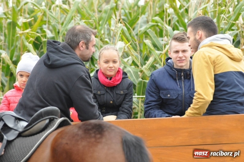 Zdjęcie w galerii na portalu naszraciborz.pl: Na Hubertusie w Żerdzinach FOTO i WIDEO wiadomości z regionu