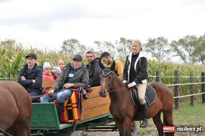 Zdjęcie w galerii na portalu naszraciborz.pl: Na Hubertusie w Żerdzinach FOTO i WIDEO wiadomości z regionu