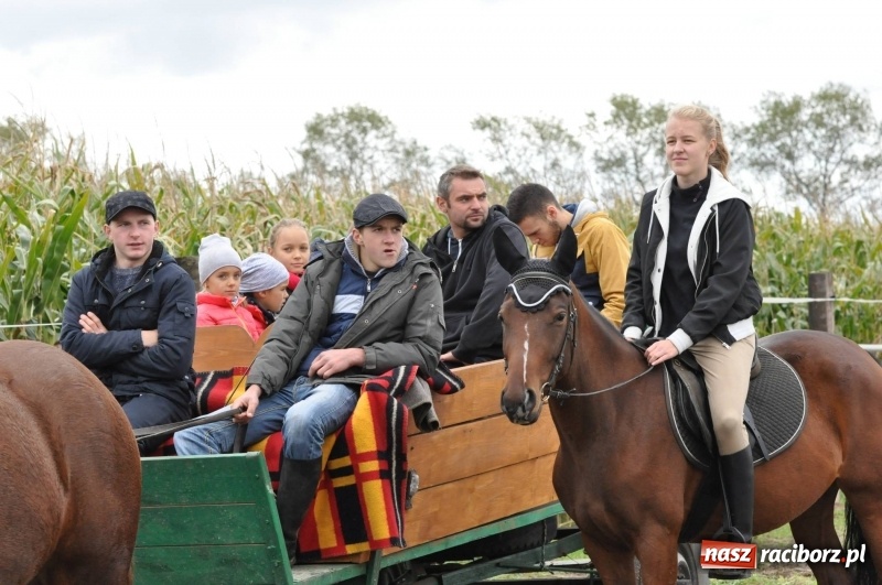 Zdjęcie w galerii na portalu naszraciborz.pl: Na Hubertusie w Żerdzinach FOTO i WIDEO wiadomości z regionu