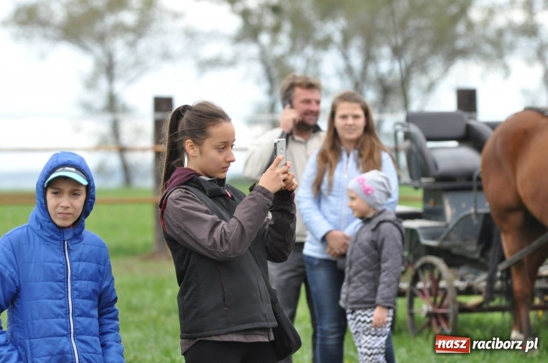 Zdjęcie w galerii na portalu naszraciborz.pl: Na Hubertusie w Żerdzinach FOTO i WIDEO wiadomości z regionu
