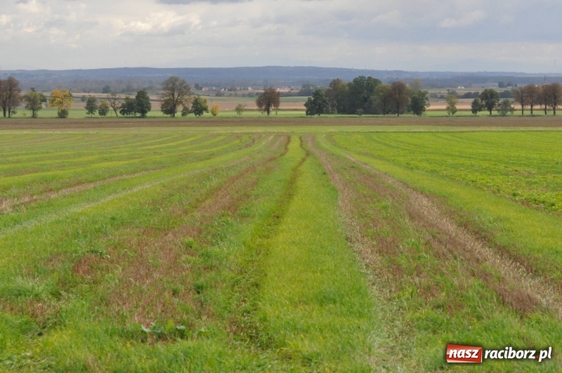Zdjęcie w galerii na portalu naszraciborz.pl: Na Hubertusie w Żerdzinach FOTO i WIDEO wiadomości z regionu