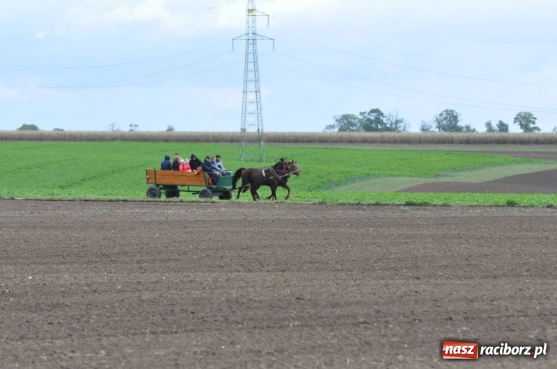 Zdjęcie w galerii na portalu naszraciborz.pl: Na Hubertusie w Żerdzinach FOTO i WIDEO wiadomości z regionu