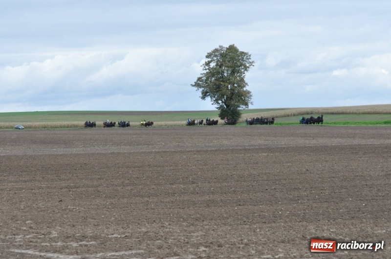 Zdjęcie w galerii na portalu naszraciborz.pl: Na Hubertusie w Żerdzinach FOTO i WIDEO wiadomości z regionu