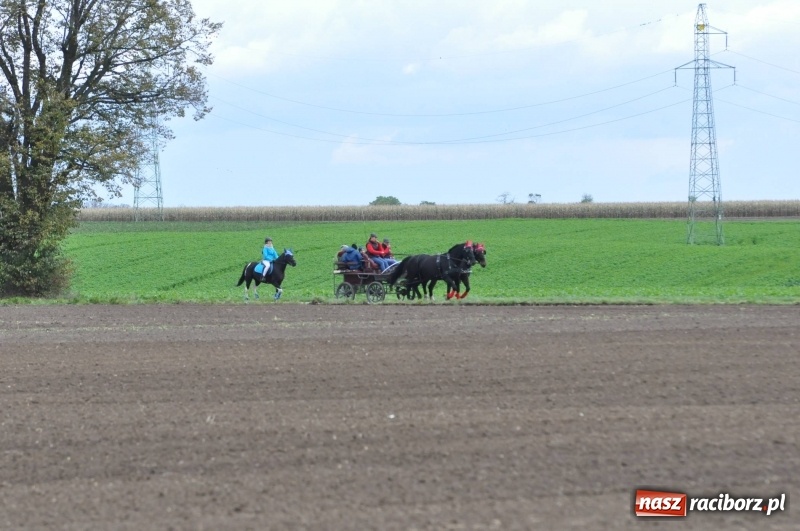 Zdjęcie w galerii na portalu naszraciborz.pl: Na Hubertusie w Żerdzinach FOTO i WIDEO wiadomości z regionu