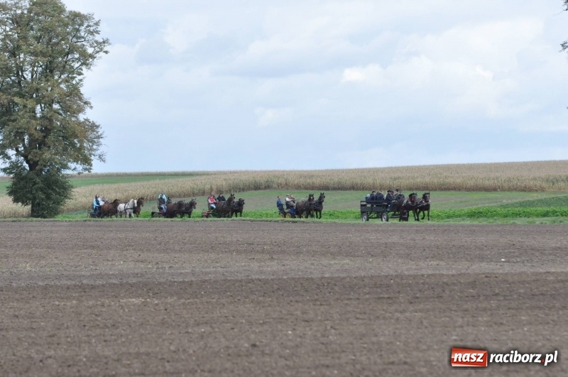 Zdjęcie w galerii na portalu naszraciborz.pl: Na Hubertusie w Żerdzinach FOTO i WIDEO wiadomości z regionu