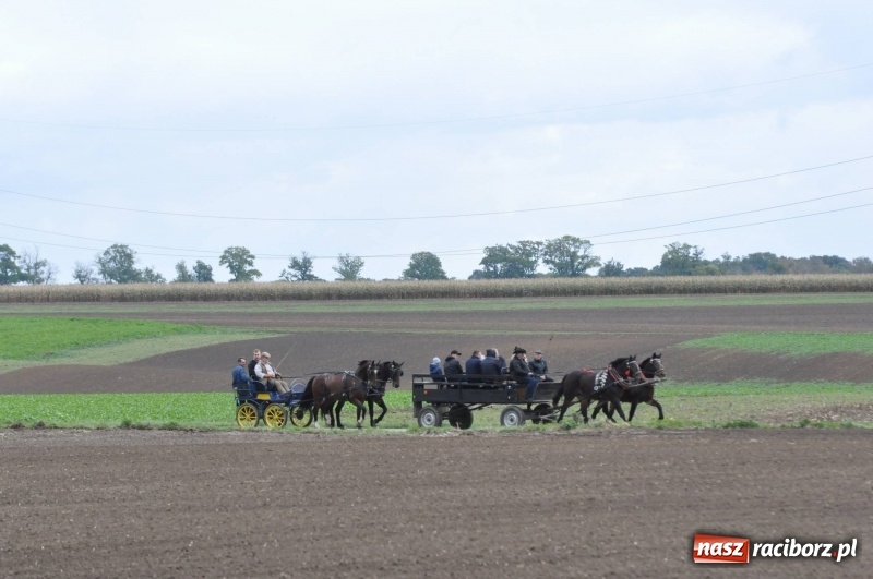 Zdjęcie w galerii na portalu naszraciborz.pl: Na Hubertusie w Żerdzinach FOTO i WIDEO wiadomości z regionu
