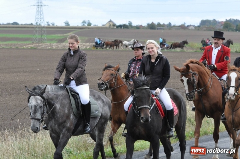 Zdjęcie w galerii na portalu naszraciborz.pl: Na Hubertusie w Żerdzinach FOTO i WIDEO wiadomości z regionu