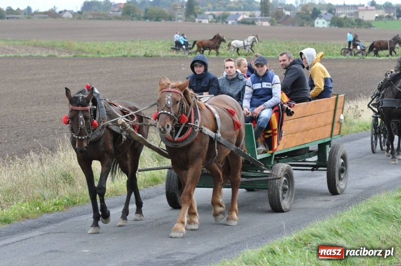Zdjęcie w galerii na portalu naszraciborz.pl: Na Hubertusie w Żerdzinach FOTO i WIDEO wiadomości z regionu