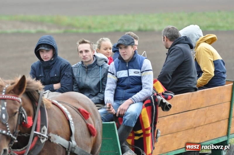 Zdjęcie w galerii na portalu naszraciborz.pl: Na Hubertusie w Żerdzinach FOTO i WIDEO wiadomości z regionu