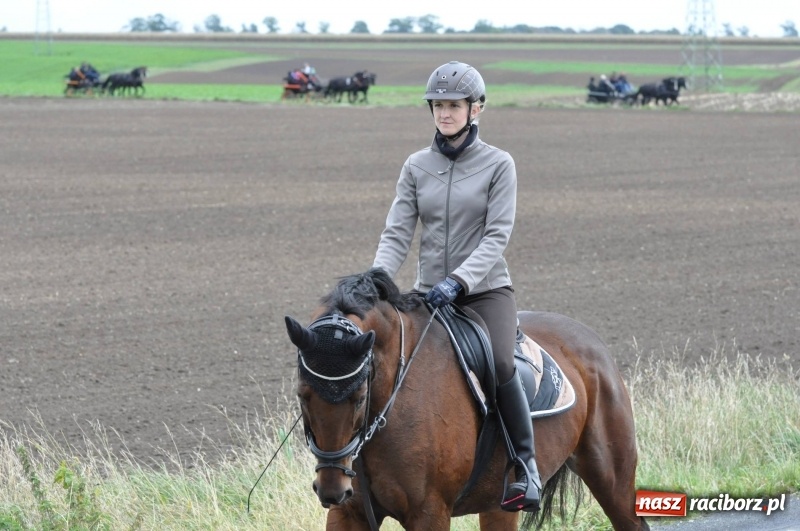 Zdjęcie w galerii na portalu naszraciborz.pl: Na Hubertusie w Żerdzinach FOTO i WIDEO wiadomości z regionu