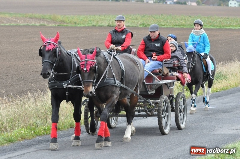 Zdjęcie w galerii na portalu naszraciborz.pl: Na Hubertusie w Żerdzinach FOTO i WIDEO wiadomości z regionu