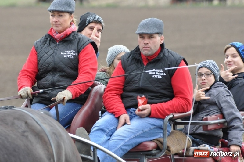 Zdjęcie w galerii na portalu naszraciborz.pl: Na Hubertusie w Żerdzinach FOTO i WIDEO wiadomości z regionu