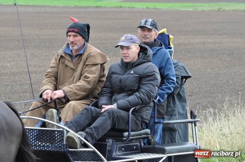 Zdjęcie w galerii na portalu naszraciborz.pl: Na Hubertusie w Żerdzinach FOTO i WIDEO wiadomości z regionu