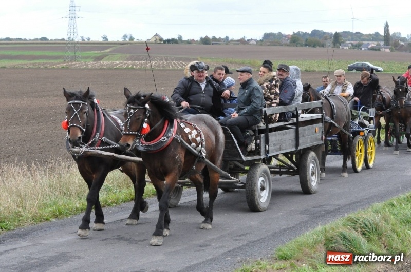 Zdjęcie w galerii na portalu naszraciborz.pl: Na Hubertusie w Żerdzinach FOTO i WIDEO wiadomości z regionu