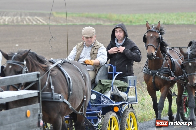 Zdjęcie w galerii na portalu naszraciborz.pl: Na Hubertusie w Żerdzinach FOTO i WIDEO wiadomości z regionu