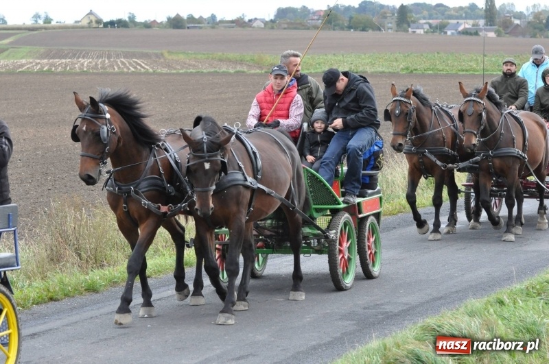 Zdjęcie w galerii na portalu naszraciborz.pl: Na Hubertusie w Żerdzinach FOTO i WIDEO wiadomości z regionu