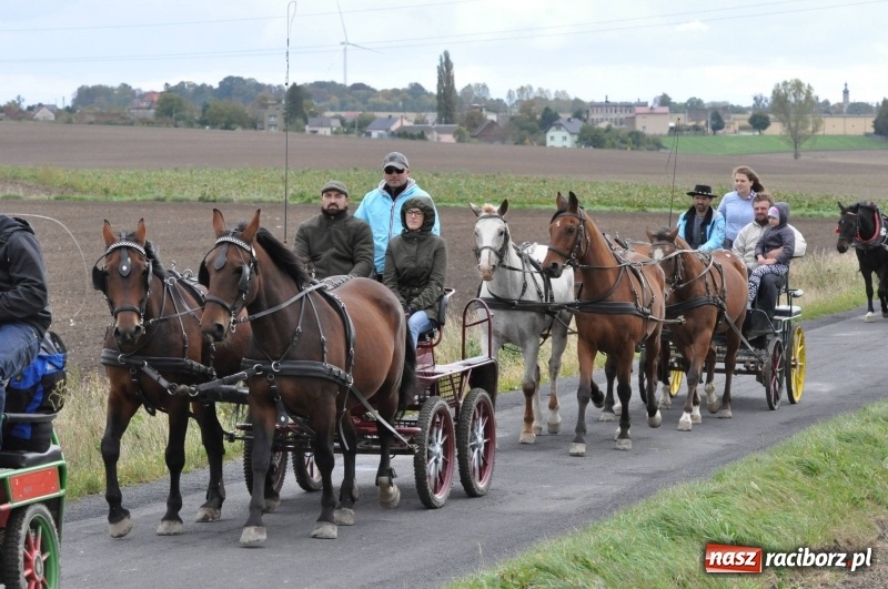 Zdjęcie w galerii na portalu naszraciborz.pl: Na Hubertusie w Żerdzinach FOTO i WIDEO wiadomości z regionu