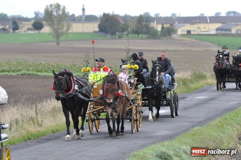 Zdjęcie w galerii na portalu naszraciborz.pl: Na Hubertusie w Żerdzinach FOTO i WIDEO wiadomości z regionu