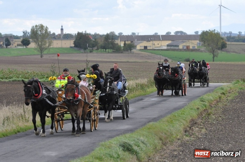 Zdjęcie w galerii na portalu naszraciborz.pl: Na Hubertusie w Żerdzinach FOTO i WIDEO wiadomości z regionu
