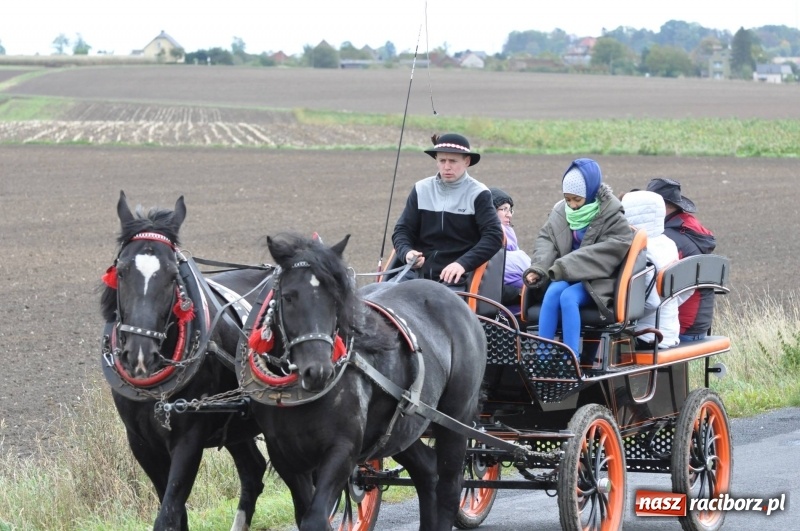 Zdjęcie w galerii na portalu naszraciborz.pl: Na Hubertusie w Żerdzinach FOTO i WIDEO wiadomości z regionu